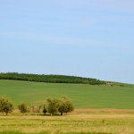 _DSC0014