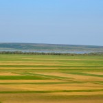 _DSC0023
