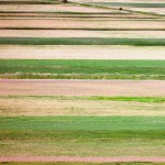 _DSC0025