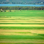 _DSC00259