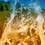 _DSC0053