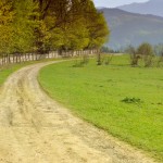_DSC0267