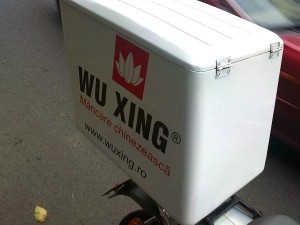 wuxing-009 wuxing-009